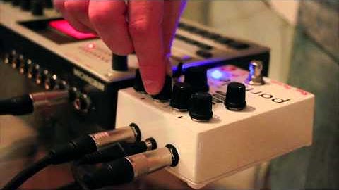 Red Panda Particle - Review and Demo