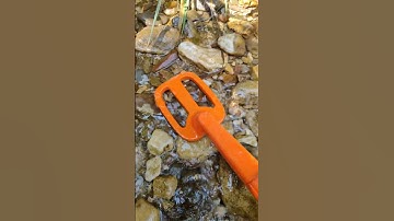 Treasure Hunter Discovers Gold Jewel in River with metal detector #metaldetecting #shorts #treasure