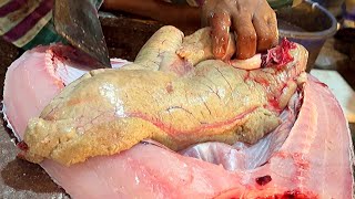 Amazing Big Eggs!! Giant Mrigal Fish Cutting With Huge Eggs Live In Fish Market