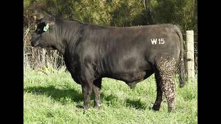 lot 24 Update