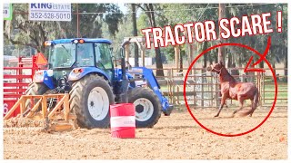 Exposing My Horse To Everything Starting Brandy Pt.5