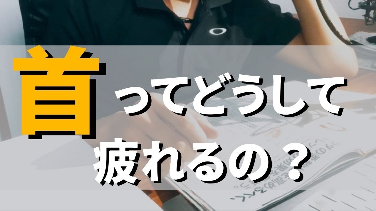 【一緒に勉強】頚椎（首の骨）の構造について：どんな仕組み？可動域は？首ケアで重要なこと