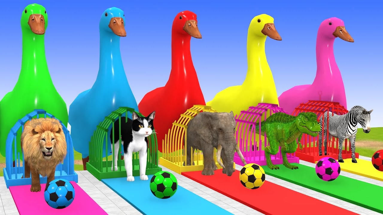 Long Slide Game With Dino Elephant Gorilla Hippopotamus Tiger - 3d Animal Game - Funny 3d Animals