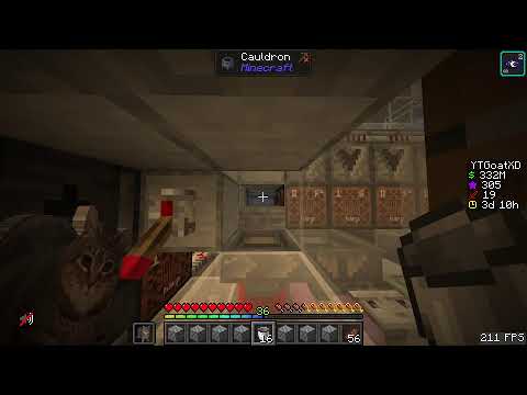 donutsmp live