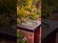 DIY Leaf Sink From Concrete and a Real Leaf#DIY #craft #craf #growaccount #treanding