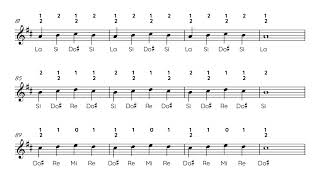 D Major Scale Exercises for Bb Trumpet | Beginner Articulation Practice