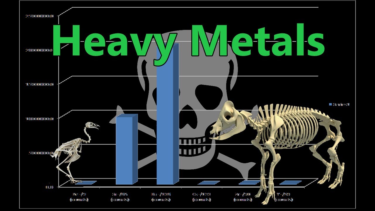 Bones Analysis, Food Chemistry
