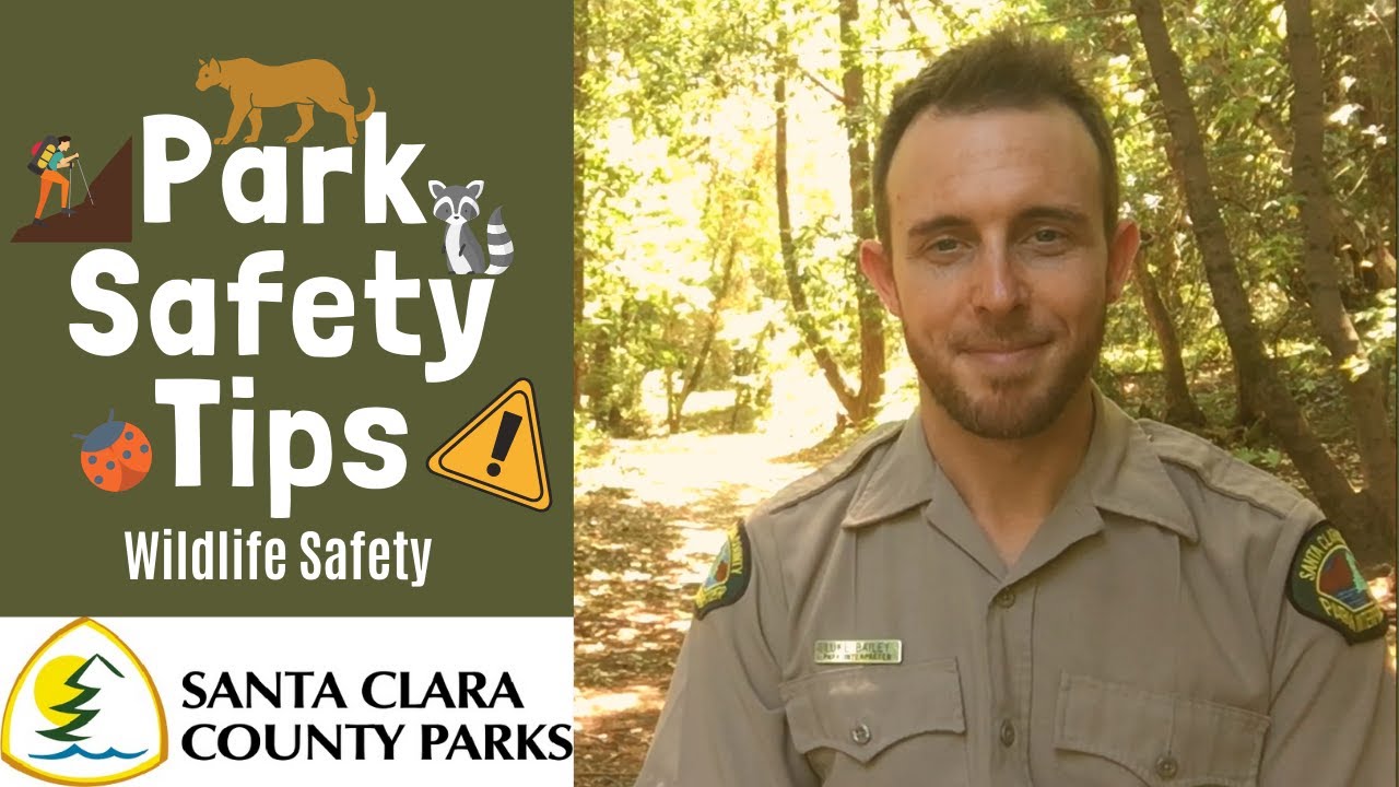 Park Safety Tips Wildlife Safety YouTube