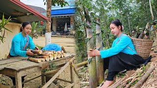 17 year old girl digs wild bamboo shoots to sell at the market, Forest Girl