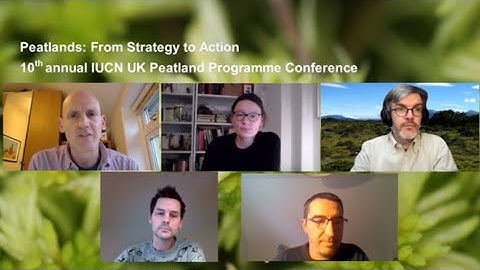 #PeatConf20: Day 4 - International market standards: quantifying carbon & benefits from peatlands