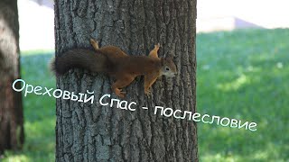 Ореховый Спас - послесловие