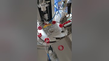 Automatic plastic cap wad lining wadding assembly machine running video