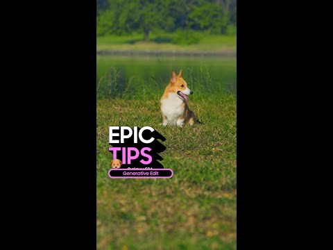 Epic Tips x