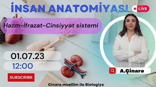 Anatomiya - 3(Sual-cavab)