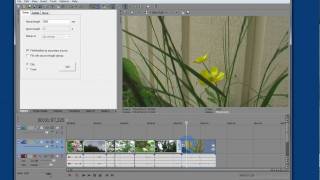 Add Date Time Stamp By Using Svdts 2 For Sony Vegas Pro