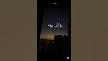 تلاوة مريحة لما تيسر من آيات القرآن الكريم  #رمضان #ليلة_القدر #قرآن
