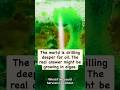 Oil Without Drilling: The Algae Revolution #climateaction #sustainablefuture #science