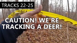 Caution! We're Tracking A Deer - The Callie Chronicles