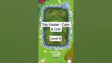 Tidy Master : Calm & Chill Level 6 #games #satisfyingames #solution #fyp
