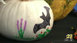 Halloween fun at ArBOOretum Fall Festival