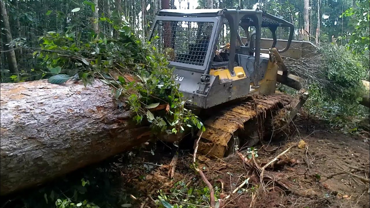 🔴buldoserpun sampai terseret#buldozer #alatberat#kayukalimantan