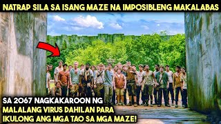 Sa 2067 NAGKAKAROON NG MALALANG VIRUS DAHILAN PARA ILAGAY ANG TAO SA MGA MAZE! |TAGALOG MOVIE RECAP screenshot 2
