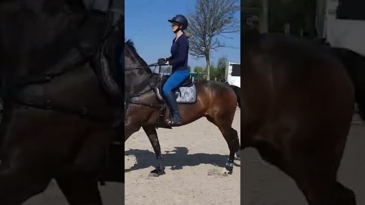 Die S Springen können diese Saison kommen💪