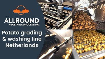 Potato grading and washing line | USA | Allround Vegetable Processing