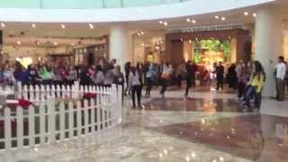 flashmob - Taj Mall Amman/Jordan