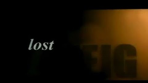 @ManseboArte  TRAILER  Lost Zweig Os Últimos Dias de Stefan Zweig no Brasil Sylvio Back EUROPA 2003