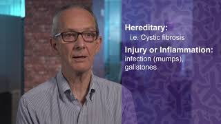 CDHF Talks Pancreatic Health Part 2: Loss of Pancreatic Function