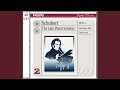 Miniature de la vidéo de la chanson Piano Sonata In B-Flat Major, D. 960: I. Molto Moderato