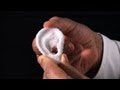 3D Printing and Tissue Engineering