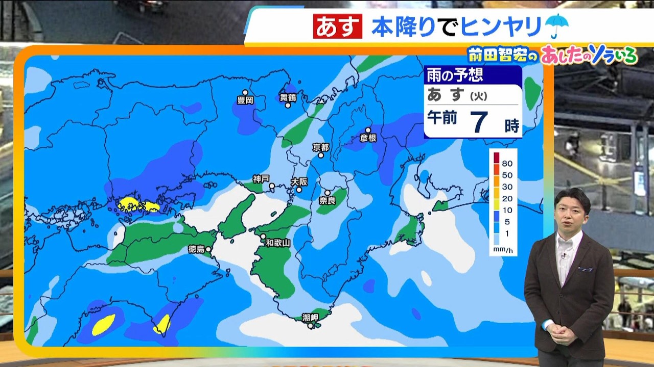 【3月3日(火)】桃の節句は傘の出番　草木を潤す本降りの雨が長く続く　雨や風で空気はややヒンヤリ【近畿の天気】#天気 #気象