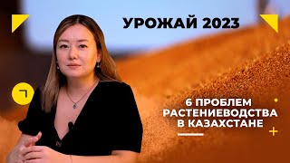 6 проблем растениеводства в Казахстане: кто виноват и что делать?