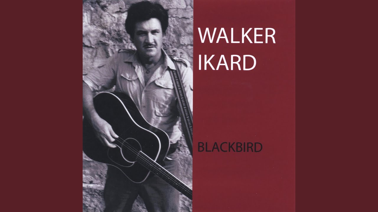 Watch Blackbird on YouTube Watch Blackbird on YouTube