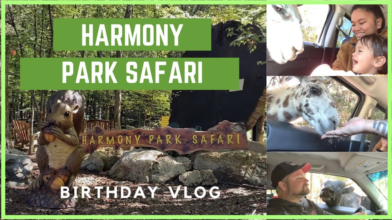 Harmony Park Safari | My Birthday Vlog | Filipino American Family | Kalishenanigans