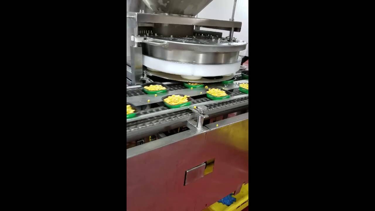 Precision PMD Continuous Motion RVF Series Filler 10 1 16 - YouTube