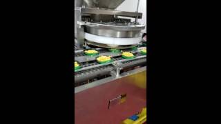 Precision PMD Continuous Motion RVF Series Filler 10 1 16