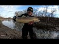 Public shore river fishing steelhead and brown trout