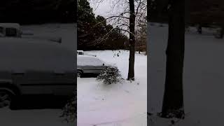 Snow in Hilton Head Island SC....beep...beep!!!