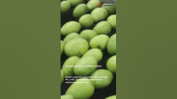 Mango Washing & Grading Line #shorts #viral #mango #washing #grading #ssengrindia