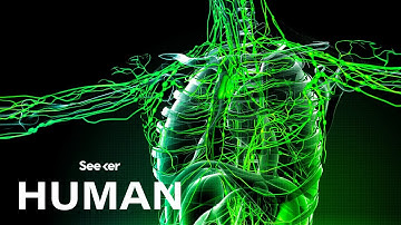 Why Do Lymph Nodes Swell Up When You