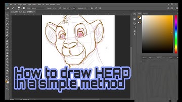 Construction of the Head - 01