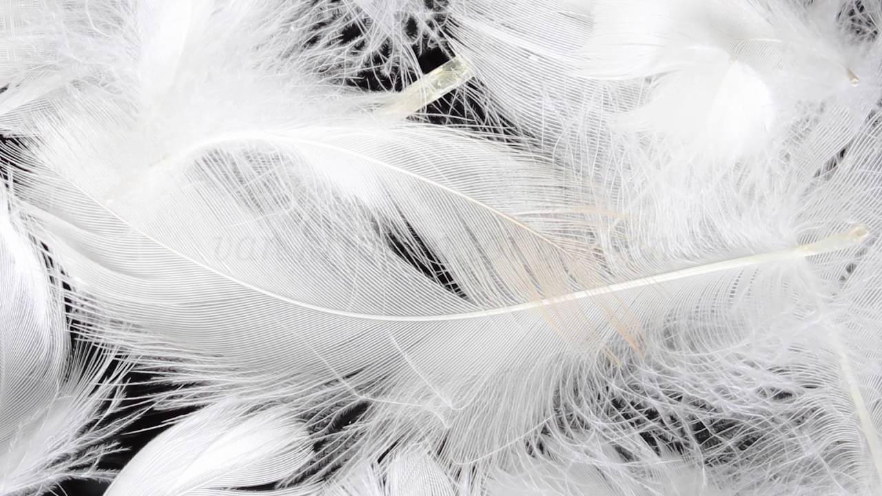 16 Veren Op Je Huid Youtube