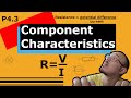 P4.3 Components Characteristics