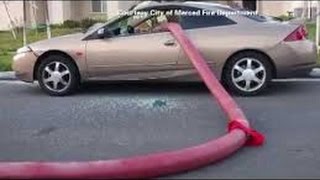 10 Cars Parked Too Close to Fire Hydrants