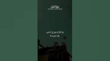 تلاوه خاشعه للشيخ ماهر المعيقلي سوره القلم #المعيقلي #ماهر_المعيقلي