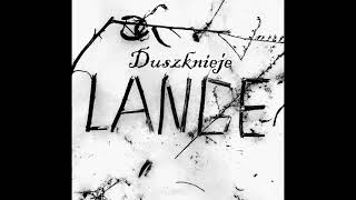 Video thumbnail of "DAMIAN LANGE - Sielanka"
