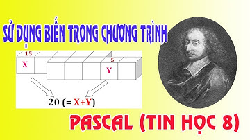 SỬ DỤNG BIẾN TRONG CHƯƠNG TRÌNH TIN HỌC 8 PASCAL